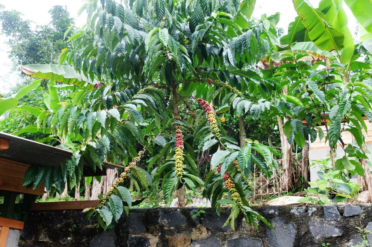 Guest House Quinta Natural Bangalots Graca Luaran gambar
