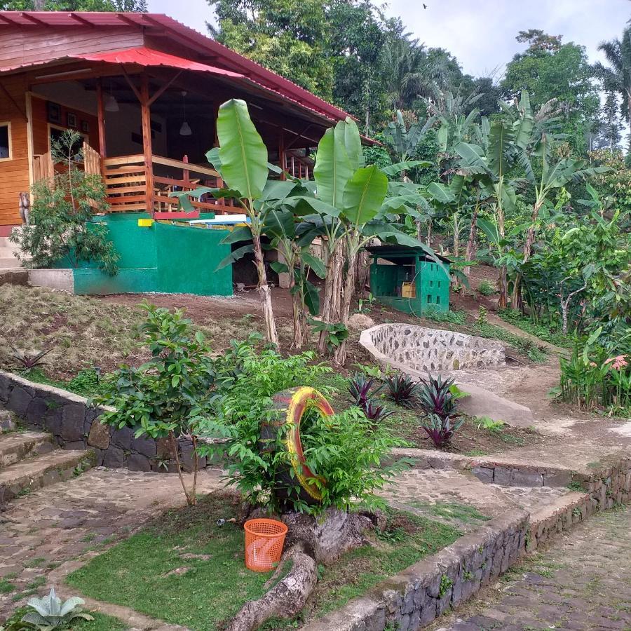 Guest House Quinta Natural Bangalots Graca Luaran gambar