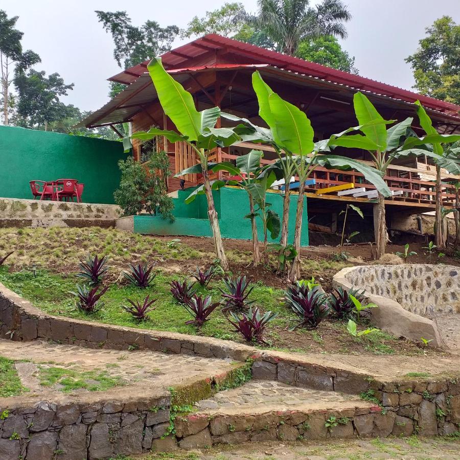 Guest House Quinta Natural Bangalots Graca Luaran gambar